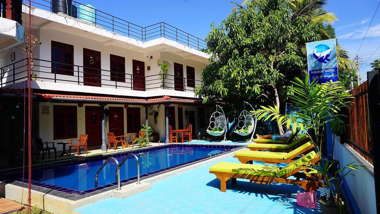Blue Whale Holiday Hotel Mirissa Exteriér fotografie