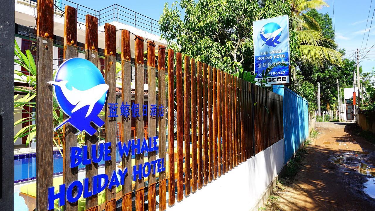 Blue Whale Holiday Hotel Mirissa Exteriér fotografie