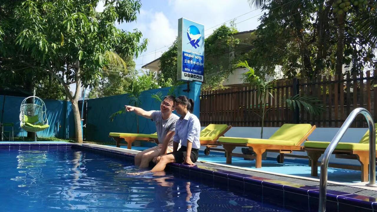 Blue Whale Holiday Hotel Mirissa Exteriér fotografie