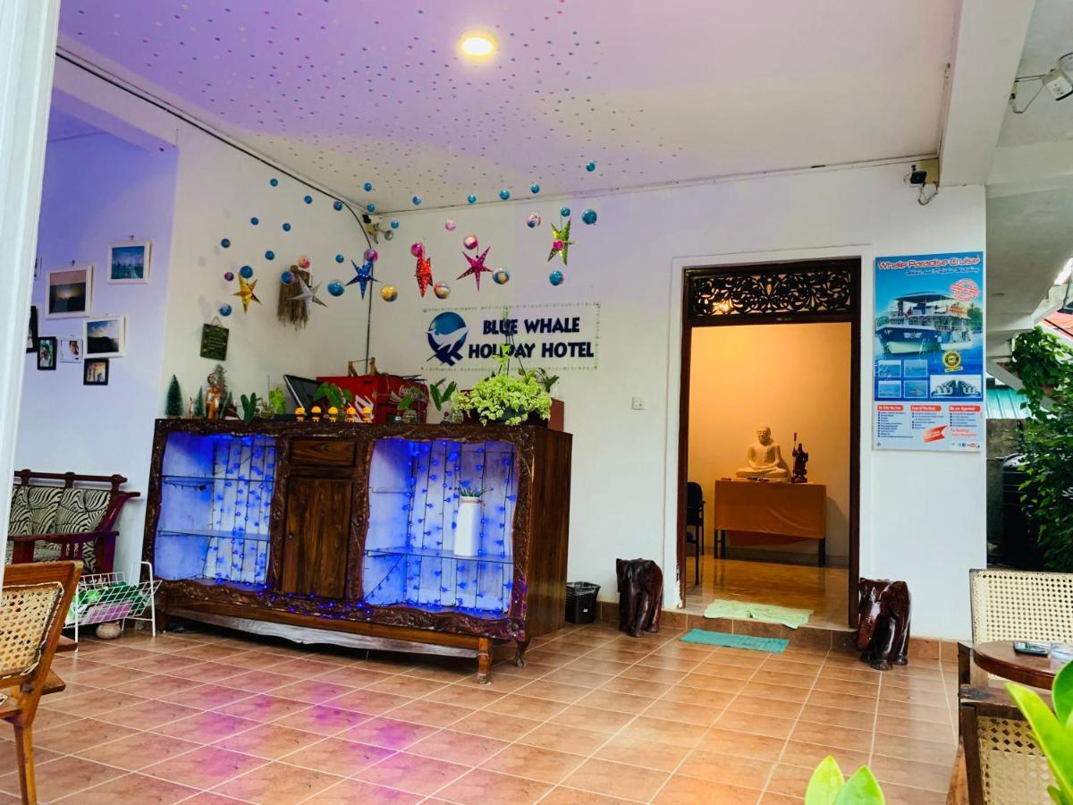 Blue Whale Holiday Hotel Mirissa Exteriér fotografie
